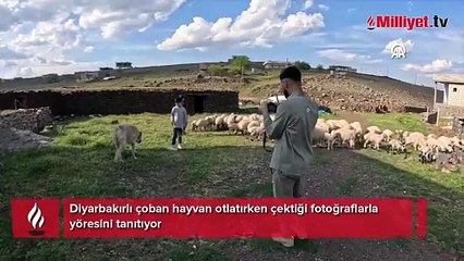 Dünya Diyarbakırlı çobanı konuşuyor! Her şey 2 yıl önce aldığı kararla değişti