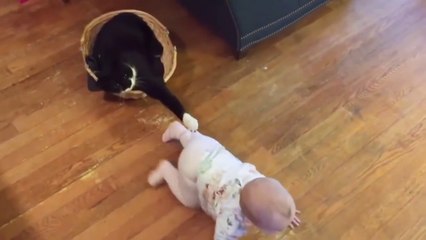 CUTE ANIMALS AND BABY FAILS||CAT AND BABY FUNNY ACTS