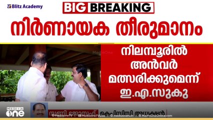 'അൻവർ മത്സരിക്കാൻ നിൽക്കില്ല... കോൺ​ഗ്രസിനെ പിന്തുണയ്ക്കുമെന്നാണ് പ്രതീക്ഷിക്കുന്നത്'