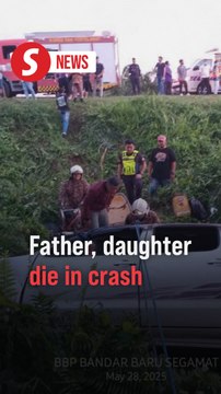 Car plunges into ravine, claims lives of father and daughter in Johor