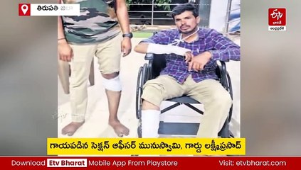 తిరుపతి జిల్లాలో ఏనుగుల బీభత్సం - అటవీ శాఖ సిబ్బందిపై దాడి