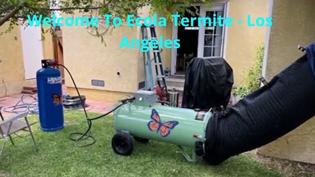 Ecola Termite - Organic Pest Control in Los Angeles, CA