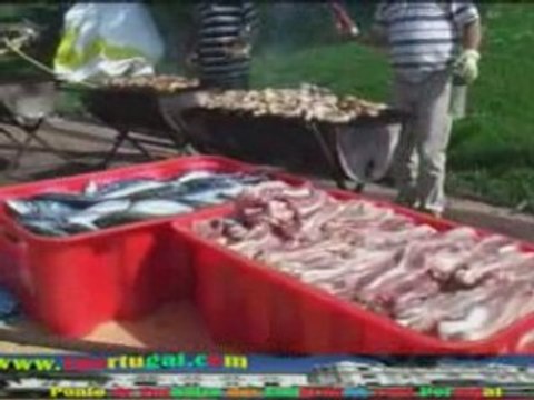 Lusitanos de Saint Cyr L'Ecole - 10-05-08 - N.1