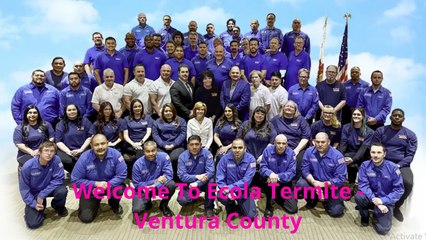 Ecola Termite - Eco Friendly Exterminator in Ventura, CA