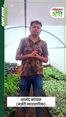 रोपे तयार करण्यासाठी पॉलिटनेल महत्वाचे!