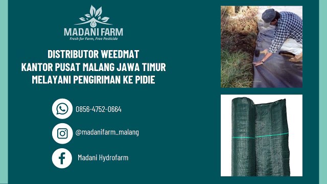 Pabrik Distributor Pusat Agen Grosir Toko Jual Plastik UV Greenhouse di PIDIE 0813-3335-4550