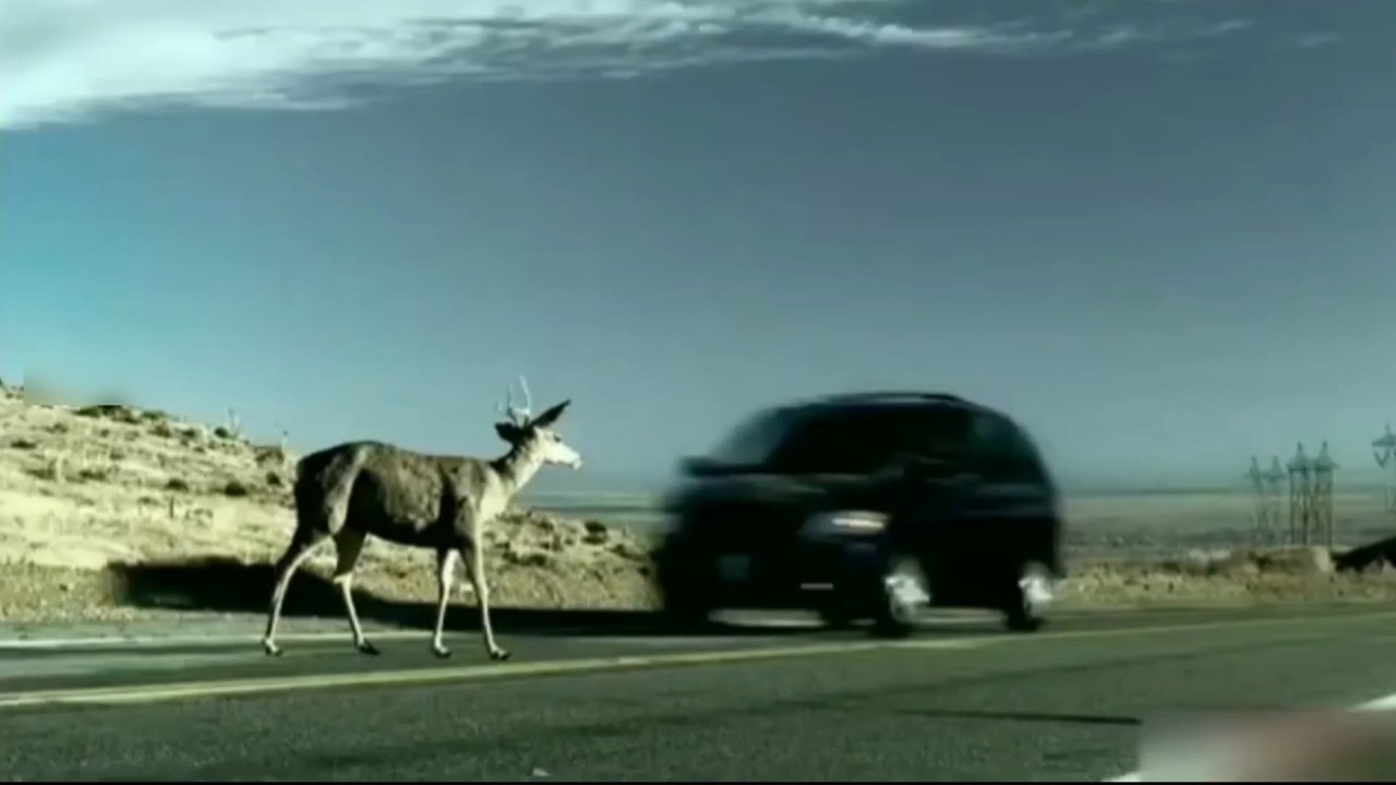 Reeker (2005) Movie Explained In Hindi/ Urdu |Thriller Horror movie Summarizedहिन्दी