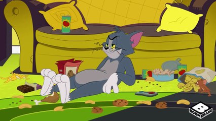 Tom and Jerry - Dogs VS Cats | Classic Cartoon Compilation