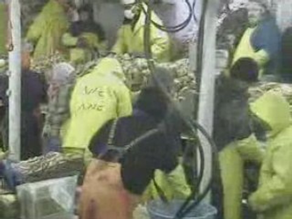 Alaska workers.