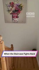 She Warned About Falling—Then Did Exactly That! 😂📱🚫