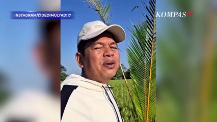 Dedi Mulyadi Ngaku Dikirimi Ular King Kobra ke Rumahnya, Ancam Tangkap Pelaku