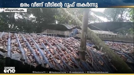 നെടുമങ്ങാട് ആനാട് കനത്ത കാറ്റിൽ മരംവീണ് വീടിന്റെ റൂഫ് തകർന്നു; പല ഭാഗത്തായി വിള്ളൽ