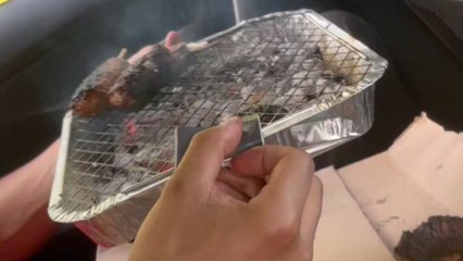 Lit BBQ travels in car after park picnic plans get ruined