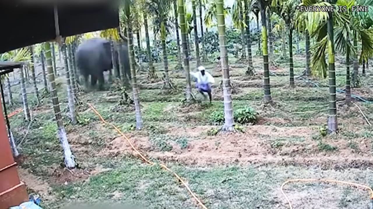 animal Tek charg