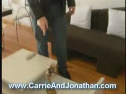 Palermo Buenos Aires Apartment Rental: Our Apartment In ...