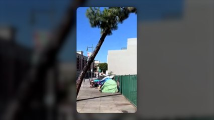 « Baby Shark » diffusée dans une rue pour faire fuir les sans-abri