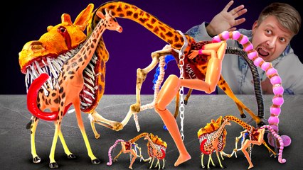 *New*🔥 Sprunki Vs Zoochosis – WHO Will Survive This Insane Clash?! 😱💥