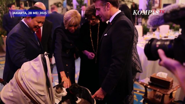 Bobby Kertanegara Kucing Prabowo Muncul di Jamuan Makan Malam Presiden Macron