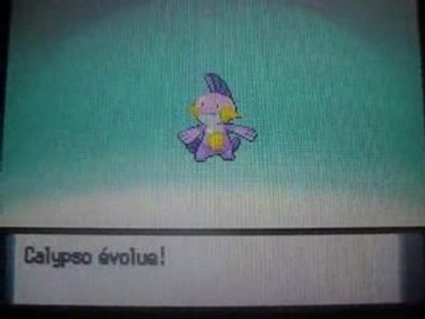 Evolution de Gobou shiney