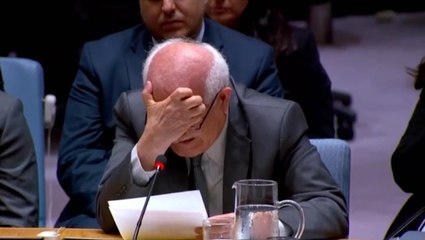 Palestinian UN envoy breaks down in tears over children dying in Gaza