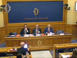 Roma - Cosa denunciano le persone con SM. I nuovi dati del Barometro della SM 2025 - Conferenza stampa di Annarita Patriarca (29.05.25)