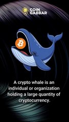 What’s a Crypto Whale, and why do they matter? 🐋