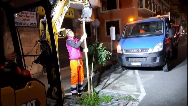 Alberelli ForestaMe rinsecchiti: è iniziata la sostituzione