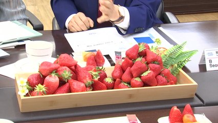 충남 논산 딸기 등 농식품, 중동 진출 교두보 마련 / YTN