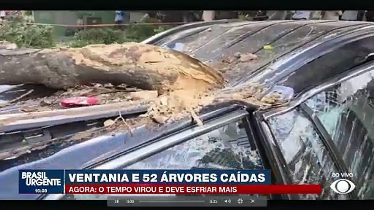 Ventania causa queda de 52 árvores em São Paulo