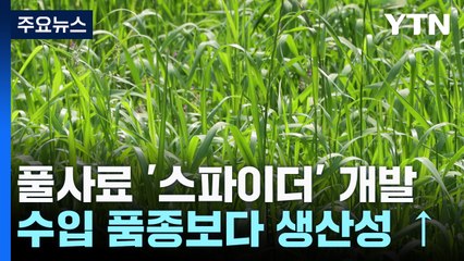 [녹색] 씨앗부터 건초까지 자체 개발...풀사료 자급 기반 구축 / YTN