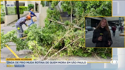 Frente fria provoca ventania e queda de árvores em SP