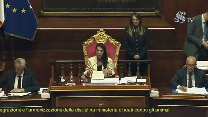 Stefani - Intervento in Senato (29.05.25)