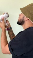 Tiny Pup Tries to Bark Like His Owner 😄 | Cățelul micuț vrea să latre ca stăpânul!