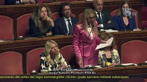 Pucciarelli - Intervento in Senato (28.05.25)