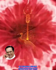 வானத்தில் மேலே முருகா M.THIRAVIDA SELVAN SINGAPORE TMS FANS 2025