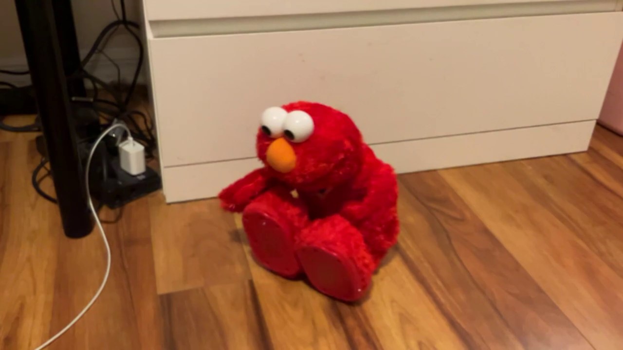 Elmo Baby Noah Animal Expedition Animated TMX Video!