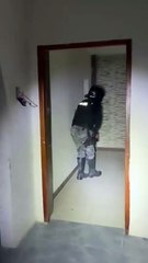 WhatsApp Video 2025-05-29 at 7.56.17 AM