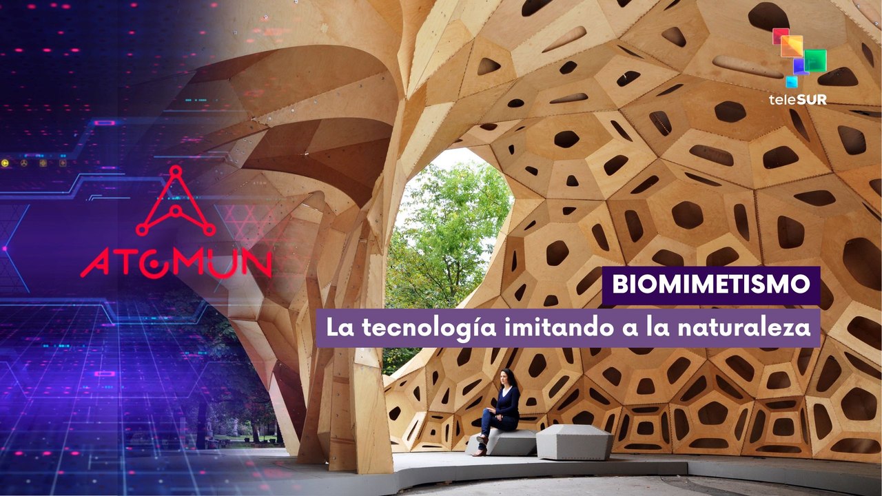 Biomimetismo