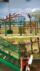 [GUYANE] Davy Rimane a répondu à sa manière à la visite du ministre de la Justice