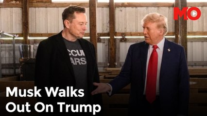 Elon Musk exits Trump administration as special government employee role ends