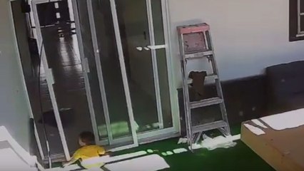 Mischievous baby gets trapped under sliding mosquito net door