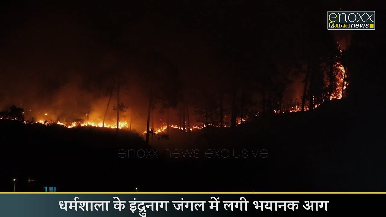 धर्मशाला: इंद्रुनाग जंगल में भीषण आग 🔥| आग की चपेट में पूरा जंगल | Himachal News | Enoxx News Himachal