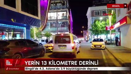 Bingöl'de 4.3, Adana'da 3.9 büyüklüğünde deprem