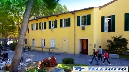 Video News - Paraplegico torna a camminare