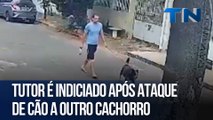Tutor é indiciado após ataque de cão a outro cachorro
