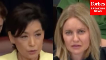 Young Kim Questions Witness On Idea To Create A New Economic Security Council To ‘Referee’ Disputes