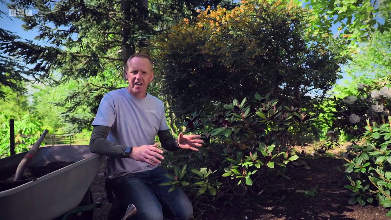 The Beechgrove Garden 2025 episode 9