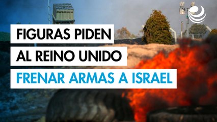 Dua Lipa y otras 300 figuras británicas piden al Reino Unido dejar de vender armas a Israel