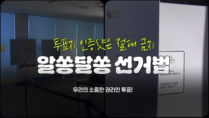 "투표지 인증샷은 절대 금지"...알쏭달쏭 선거법 / YTN