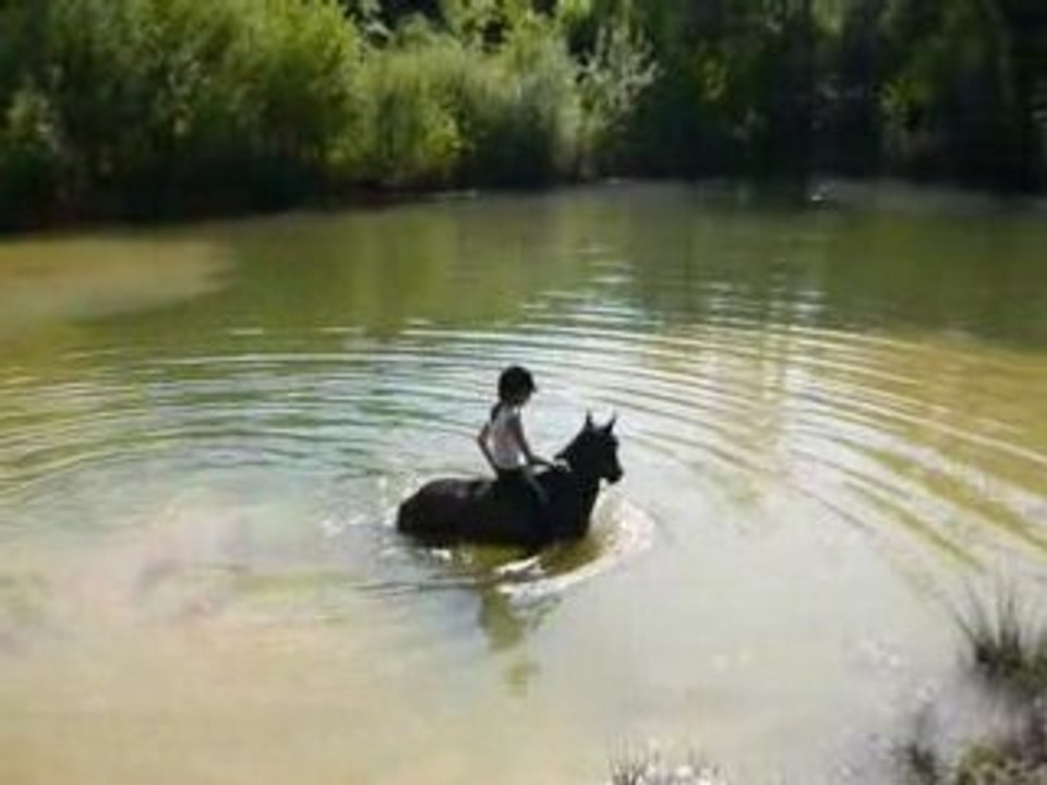 mimi dans l'eau